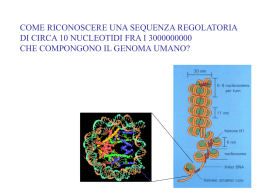 fattori di trascrizione