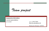 Team project