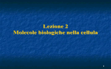 2_molecole biologiche nella cellula