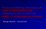 Diapositiva 1 - Cell Factory Mantova