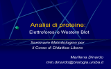 Presentazione di PowerPoint - Dipartimento di Farmacia