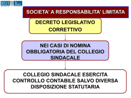 I SISTEMI DI CONTROLLO NELLE NUOVE SOCIETA`