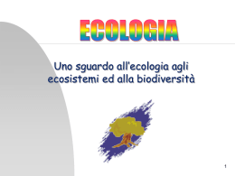 ecologia_preparazione al documentario