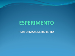 Trasformazione batterica (II parte)