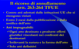 Il sistema giurisdizionale - 2: annullamento e rinvio pregiudiziale