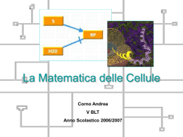 La Matematica delle Cellule