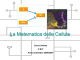 La Matematica delle Cellule