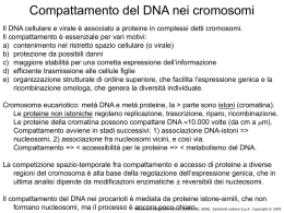 Biologia molecolare del gene