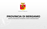 Diapositiva 1 - Provincia di Bergamo