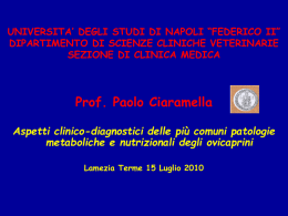 UNIVERSITA` DEGLI STUDI DI NAPOLI &ldquo;FEDERICO II