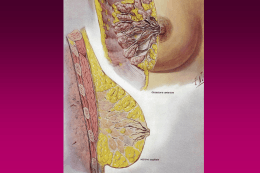 Patologia della mammella