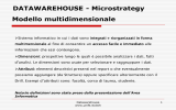 DATAWAREHOUSE - Microstrategy