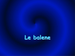 Le balene - Karate Frascati