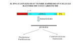 biol_mol_medicina_04