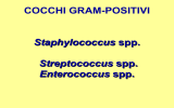COCCHI GRAM-POSITIVI Staphylococcus spp. Streptococcus spp