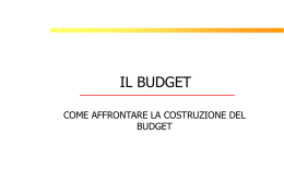 Il Budget - Forum Terzo Settore Bassa Bresciana