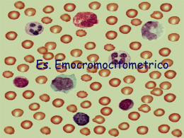 Eritropoiesi (Formazione di GR)