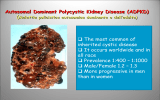 Autosomal Dominant Polycystic Kidney Diasease