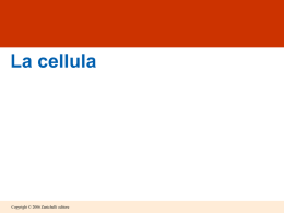 lez.5 - la cellula - Liceo Scientifico Rodolico