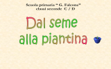 Dal seme alla piantina