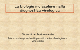 Ricerca del genoma virale nella diagnostica virologica - E