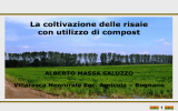 Intervento Alberto Massa Saluzzo