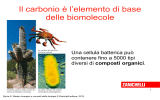 Mader__Le_molecole_biologiche Zanichelli