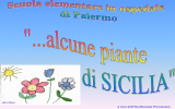 Presentazione di PowerPoint - Scuola Media di Piancavallo