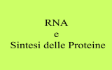 RNA e Sint. Proteica