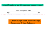 Genome Sequences