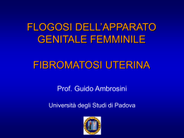 FLOGOSI DELL`APPARATO GENITALE FEMMINILE