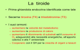 La tiroide