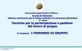 I FENOMENI DI GRUPPO - Università degli Studi di Milano