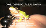 DAL GIRINO ALLA RANA