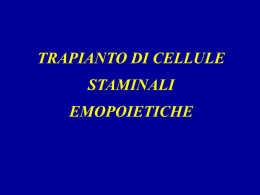 Trapianto di cellule staminali emopoietiche