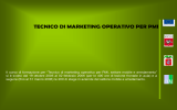 tecnico di marketing operativo per pmi