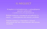 IL NEGLECT