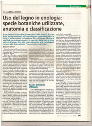 Uso del legno in enologia: specie botaniche utilizzate