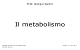 Metabolismo - Home page @charlie.ambra.unibo.it