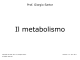 Metabolismo - Home page @charlie.ambra.unibo.it