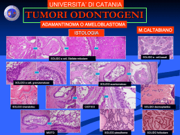 Diapositiva 1