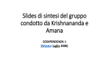 Slides di sintesi del gruppo co1 condotto da Krishnananda e Amana