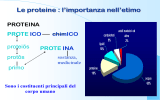 Le proteine - ITIS Cannizzaro