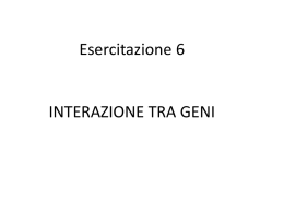 Esercitazione 6