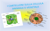 I CARTELLONI SULLA CELLULA