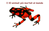 2-animali più velenosi