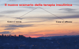 La terapia insulinica - aggiornamento per congresso