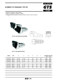 CATALOGO FLYNN 2004