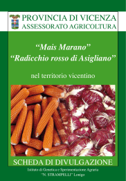 “Mais Marano” “Radicchio rosso di Asigliano” PROVINCIA DI