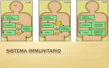 Sistema immunitario